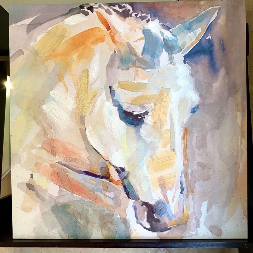 Horse wall canvas textured paint.